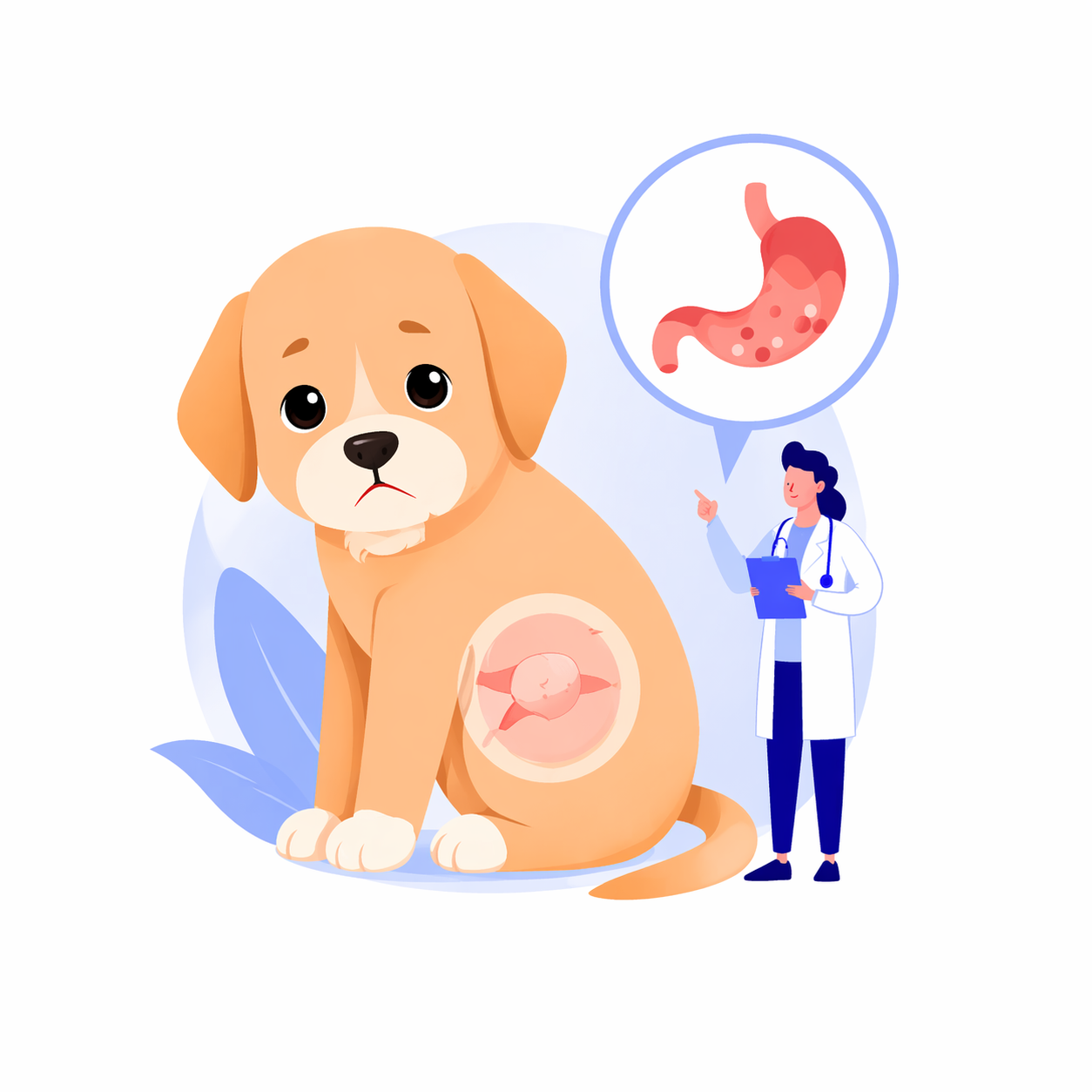 Hundekrankheiten Hund-Magen-Darm-Probleme